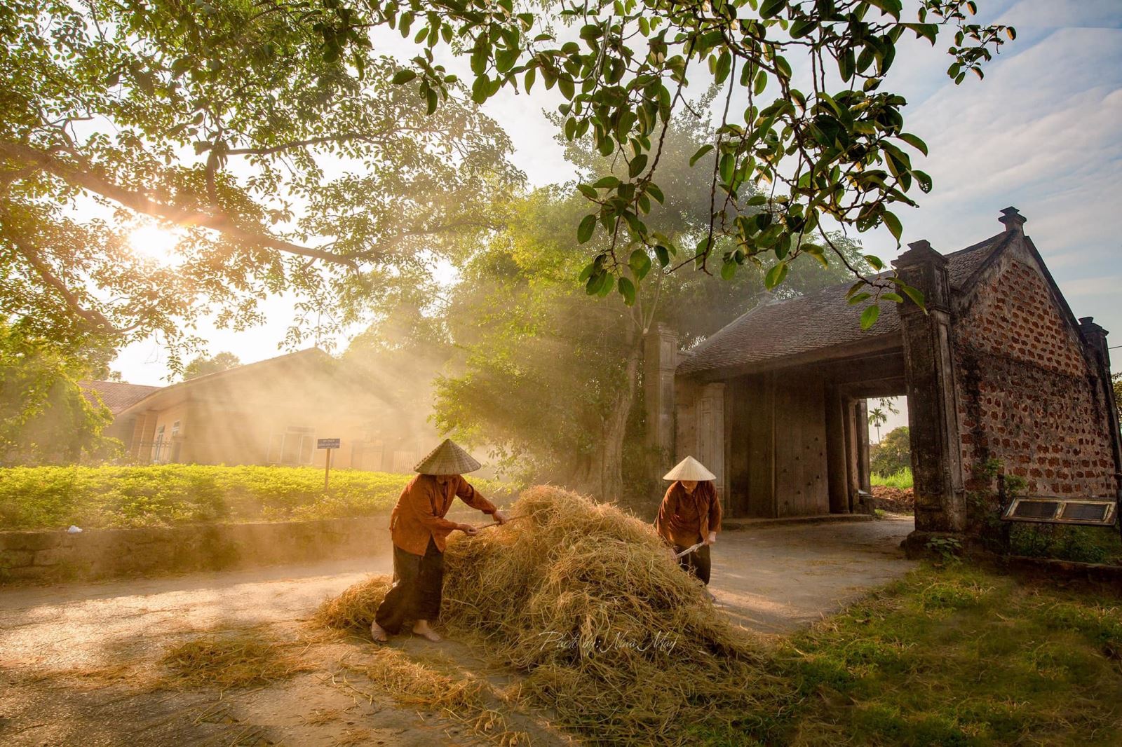 DUONG LAM ANCIENT VILLAGE – CHUA THAY PAGODA PRIVATE TOUR (1 DAY)