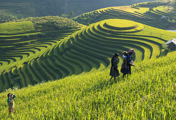 SAPA 3 DAYS 2 NIGHT WITH FANSIPAN PEAK BY LIMOUSINE VAN/CABIN BUS