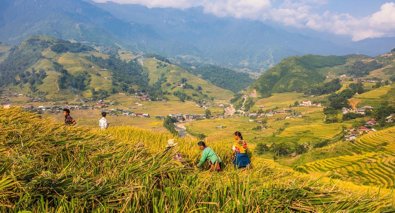 SAPA 3 DAYS 2 NIGHT WITH FANSIPAN PEAK BY LIMOUSINE VAN/CABIN BUS