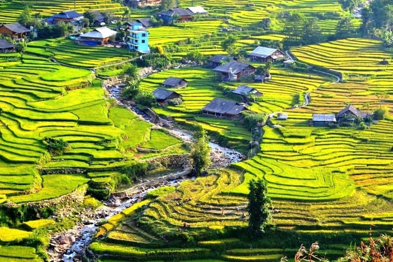 SAPA TREKKING 02 DAYS 01 NIGHT TOUR WITH HIGH END LIMOUSINE VAN OR CABIN BUS