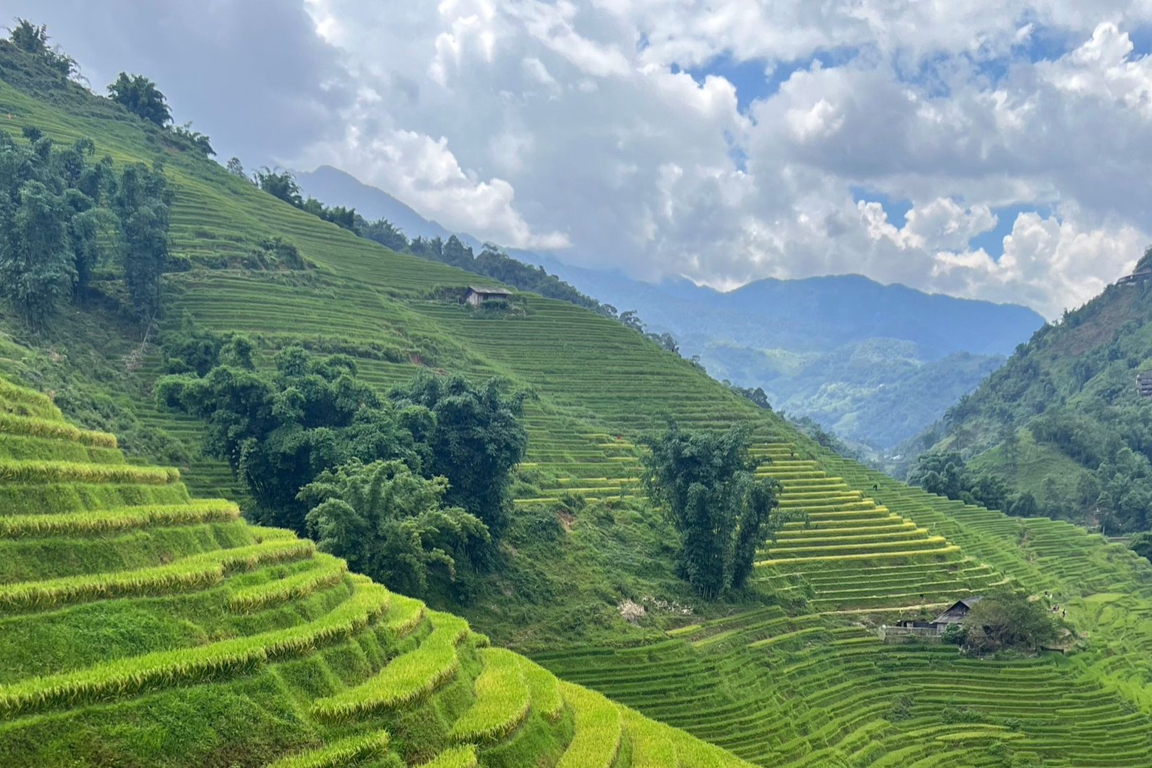 SAPA TREKKING TOUR 2 DAYS 3 NIGHTS BY OVERNIGHT TRAIN/CABIN BUS