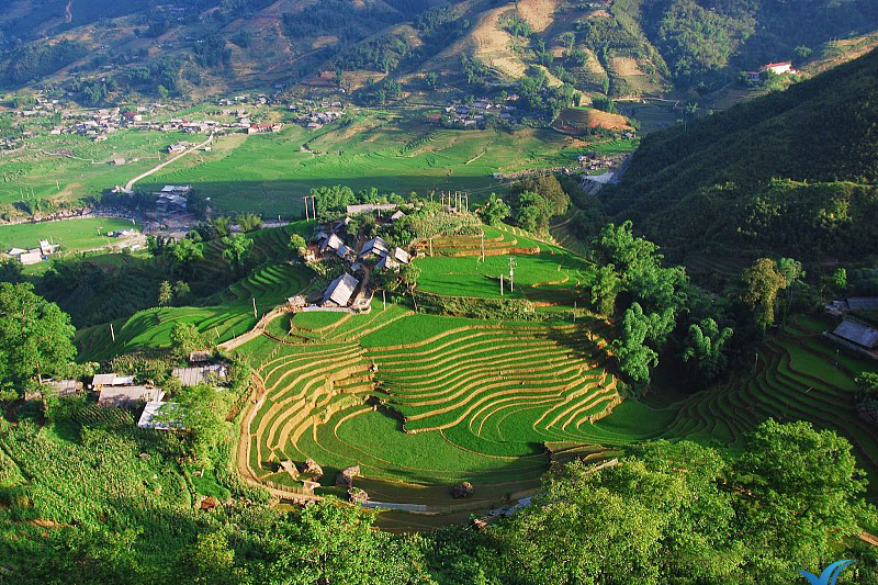 SAPA TREKKING 02 DAYS 01 NIGHT TOUR WITH HIGH END LIMOUSINE VAN OR CABIN BUS